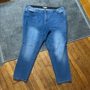 Woman Within five pocket, skinny jeans blue size 22W